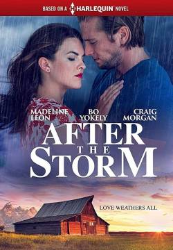 After the Storm - Dopo la tempesta (2019)