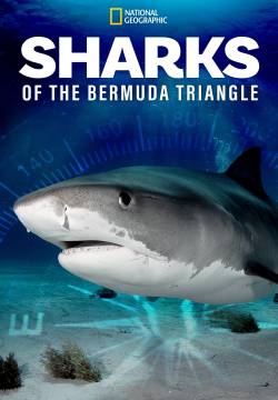 Sharks of the Bermuda Triangle (2020)